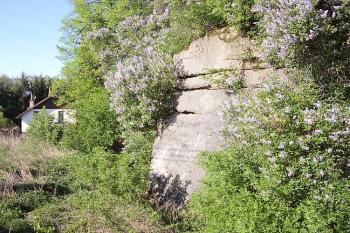 Rybnov (© Jan Laurýn, 2006)