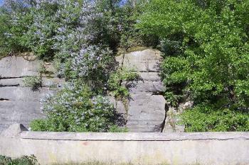 Rybnov (© Jan Laurýn, 2006)