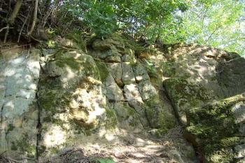 Rybnov (© Jan Laurýn, 2006)