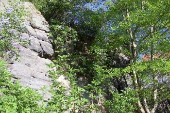 Rybnov (© Jan Laurýn, 2006)