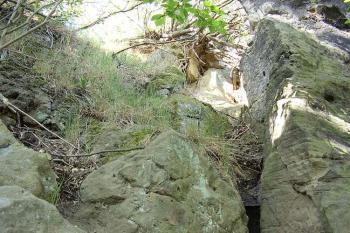 Rybnov (© Jan Laurýn, 2006)