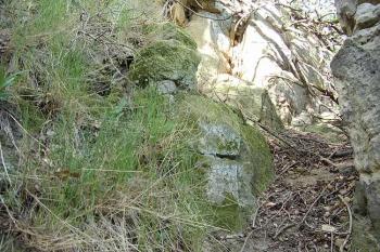 Rybnov (© Jan Laurýn, 2006)