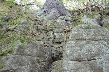 Rybnov (© Jan Laurýn, 2006)