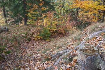 Čertův hrádek - Okluky - Dobře znatelný hradní příkop na východní části pod věžištěm. (© Ivo Rozehnal, 10/2008)