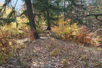 Čertův hrádek - Okluky - Protáhlá východní část hradu za příkopem.  (© Ivo Rozehnal, 10/2008)