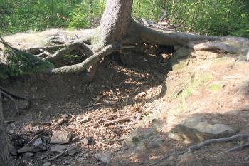 pozůstatky Čertova hrádku ( © Jiří Čížek 07/2003)