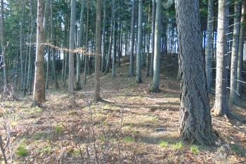 Přístupová plošina na severu / kóta 683m n. m./ (© Dušan Dohňanský  04/2021)