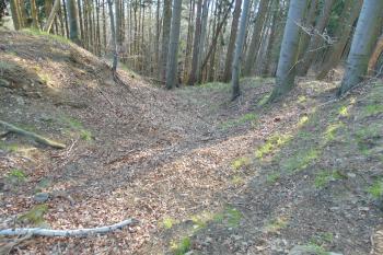 První sev. příkop přetínajíécí přístupovou šíji /vlevo val, vpravo šíje/ (© Dušan Dohňanský  04/2021)