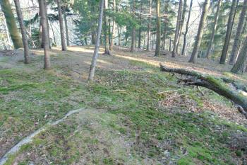 Centrální plocha hrádku od severu (© Dušan Dohňanský  04/2021)