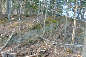 Pohled z již. valu přes příkop na hrádek  (© Dušan Dohňanský  04/2021)