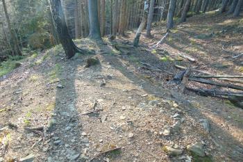 Průběh jižního a vzadu západního okružního valu (© Dušan Dohňanský  04/2021)