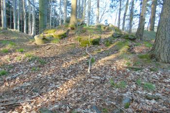 Odstupňovaný skalní val mezi prvním /vlevo/ a druhým /vpravo/ příkopem na severu (© Dušan Dohňanský  04/2021)