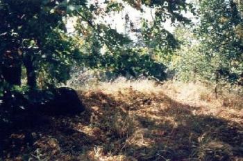 Frankštát (2000 ©Radim Bystroň)