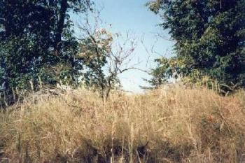 Frankštát (2000 ©Radim Bystroň)