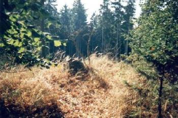 Frankštát (2000 ©Radim Bystroň)