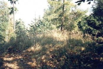 Frankštát (2000 ©Radim Bystroň)