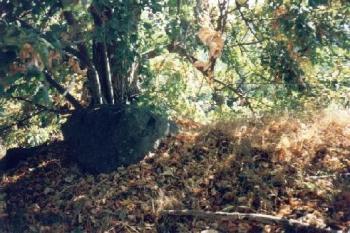 Frankštát (2000 ©Radim Bystroň)