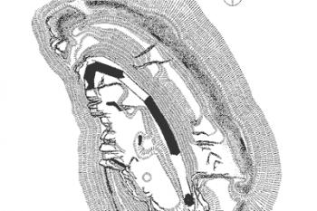 Půdorysné zaměření (© P. Kouřil, D. Prix, M. Wihoda: Hrady českého Slezska, AÚ AV ČR Brno, 2000, str. 86. obr. 84)