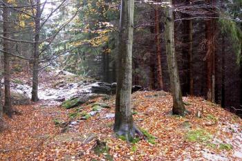 pohled od východu na místo 1. brány v severní části valu ( © Jan P. Štěpánek 10/2007)