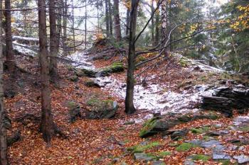 zakončení příkopu a valu v severozápadní části hradu ( © Jan P. Štěpánek 10/2007)