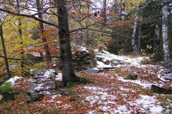 severní část jádra hradu od jihu ( © Jan P. Štěpánek 10/2007)