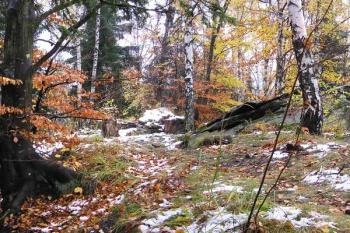 panorama jižní části jádra hradu od severu ( © Jan P. Štěpánek 10/2007)