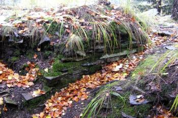 pozůstatek zdi v severní části plochy jádra hradu ( © Jan P. Štěpánek 10/2007)