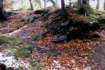 celkové panorama hradního jádra od severovýchodu ( © Jan P. Štěpánek 10/2007)