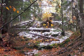 pohled z místa vstupní brány na čelo jádra hradu ( © Jan P. Štěpánek 10/2007)