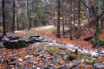 pohled z místa vstupní brány na severu na obvodový val ve východní části hradu ( © Jan P. Štěpánek 10/2007)