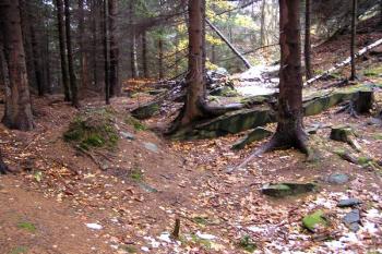 východní část areálu, odkud vedl z valu přes příkop most do jádra hradu (vpravo) ( © Jan P. Štěpánek 10/2007)