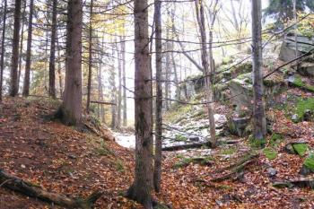 pohled od východu na prostor konce jádra hradu (vpravo), příkopu a předhradí (vlevo) ( © Jan P. Štěpánek 10/2007)