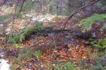 původní zídka na předhradí hradu (?) ( © Jan P. Štěpánek 10/2007)