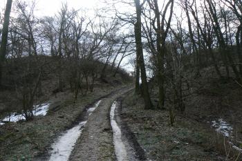 Cesta proražená buldozerem do valu roku 1967 (© Prudký Martin, 01/2011)