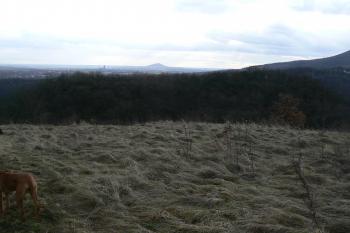 Nekropole hradiště (© Prudký Martin, 01/2011)