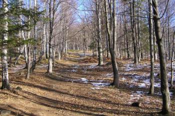 Přístupový hřeben ( © Jan P. Štěpánek 12/2006)