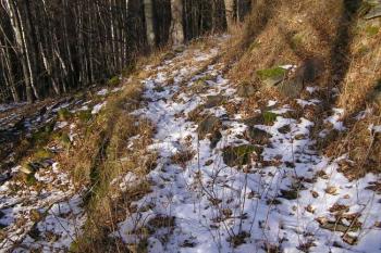 Pohled na nejnižší zídku ( © Jan P. Štěpánek 12/2006)