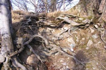 Narušené zdivo jedné z budov v ploše dvora jádra ( © Jan P. Štěpánek 12/2006)