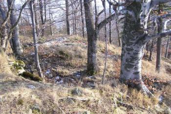 Nižší část plochy jádra ( © Jan P. Štěpánek 12/2006)