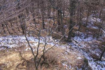 Pohled z čela jádra (štítové zdi) k západu ( © Jan P. Štěpánek 12/2006)