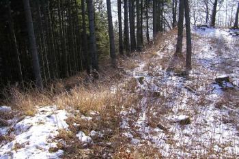 Pohled od skalky na severovýchodě na pásmo hrázky po hradbě jdoucí k místu brány (v pozadí) ( © Jan P. Štěpánek 12/2006)