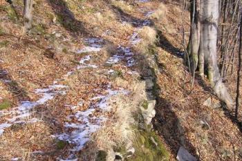 Torzo hradby na jihovýchodě areálu hradu ( © Jan P. Štěpánek 12/2006)