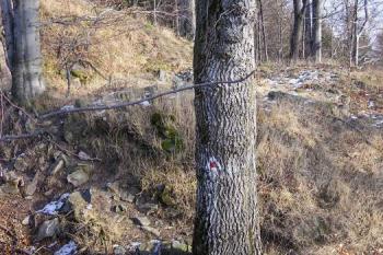 Panorama nižší části jádra hradu ( © Jan P. Štěpánek 12/2006)
