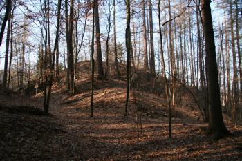 Předhradí (© Petr Nožička 03/2011)