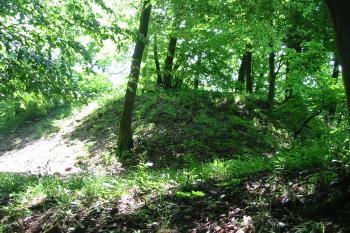 pohled od sv (© D Dohňanský, 06/2015)