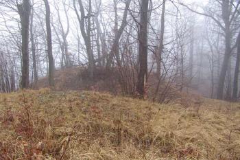  ( © Roman Řezáč 01/2008)