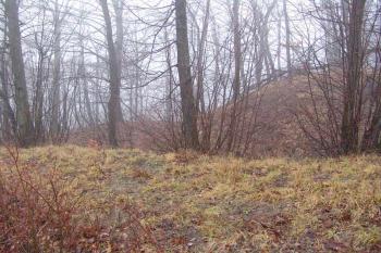  ( © Roman Řezáč 01/2008)