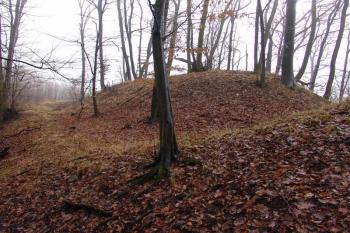  ( © Roman Řezáč 01/2008)