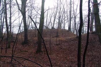  ( © Roman Řezáč 01/2008)
