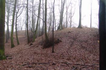  ( © Roman Řezáč 01/2008)
